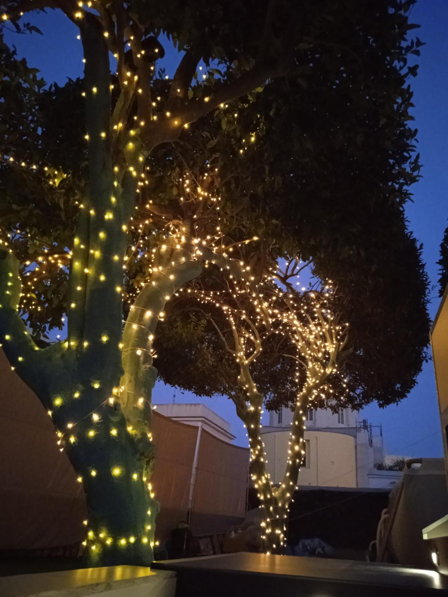 Casa Mika Hotell Procida Rom bilde